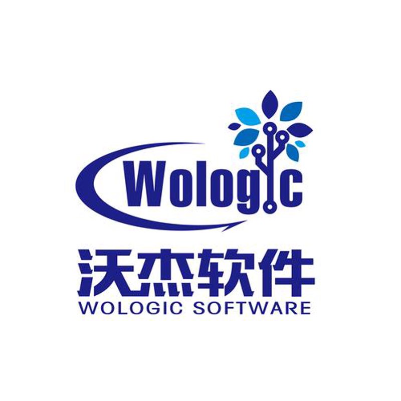 上海软件开发：城市创新力的新引擎